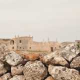 Oltre la sua chioma si apre un viale sterrato che conduce a una masseria: era l� che risiedeva De Laurentis quando si tratteneva per pi� giorni nella sua azienda